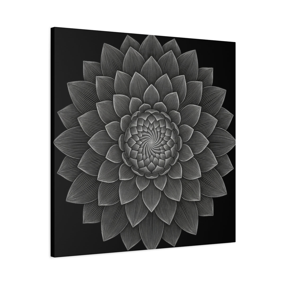 Dahlia